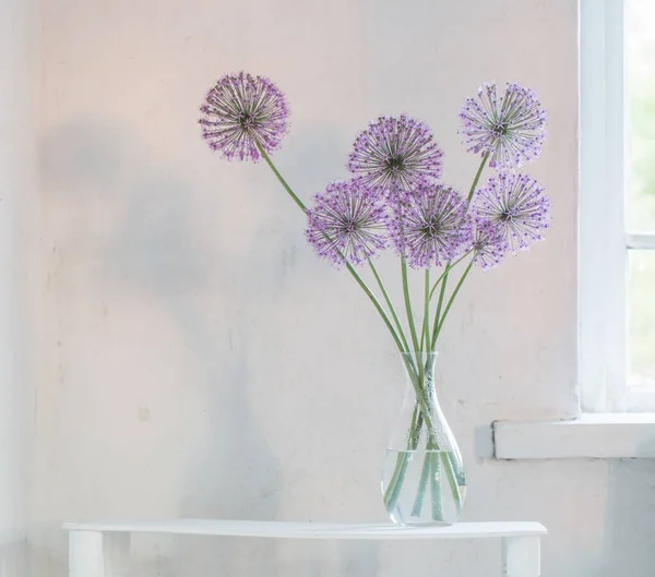 Fioletowe Okrągłe Kwiaty Szklanym Wazonie Białym Tle — Zdjęcie stockowe