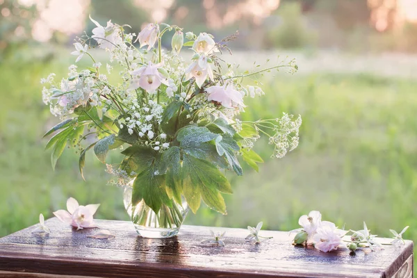 Bouquet Summer Flowers Glass Vase Sunlight Outdoor — Stock Photo, Image