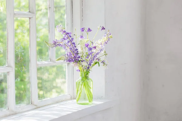 Flores Verano Jarrón Alféizar Ventana Luz Del Sol — Foto de Stock