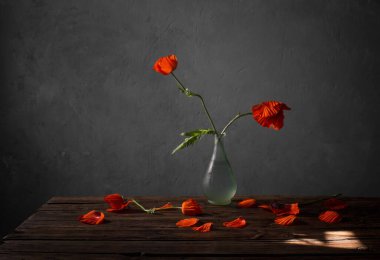 Tahta masadaki vazoda kırmızı gelincikler