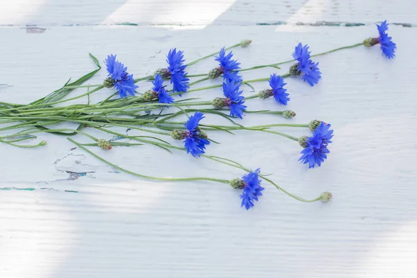 Cornflowers Azul Fundo Madeira Velho Branco — Fotografia de Stock