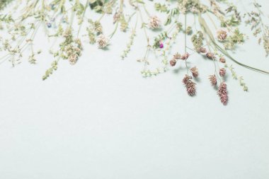 kağıt arkaplanda farklı yabani çiçekler