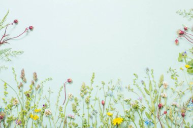 kağıt arkaplanda farklı yabani çiçekler