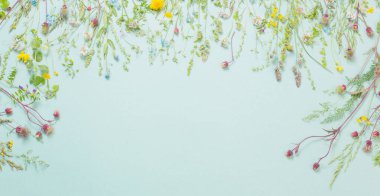 kağıt arkaplanda farklı yabani çiçekler