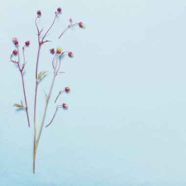 Vahşi doğada çiçekler arka planda