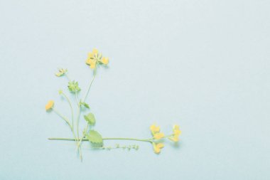 Kağıt üzerinde sarı yabani çiçekler