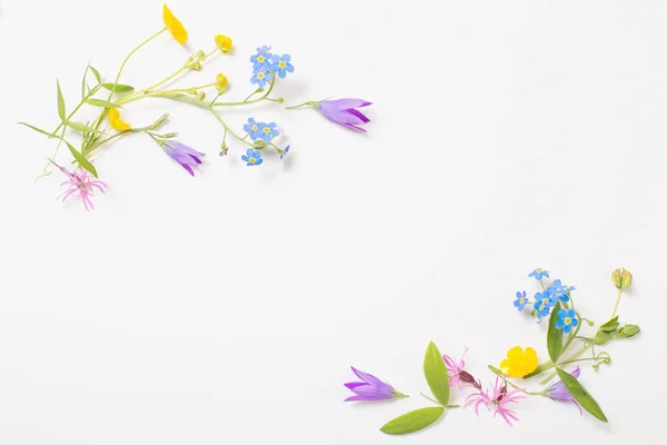 Belas Flores Silvestres Fundo Branco — Fotografia de Stock