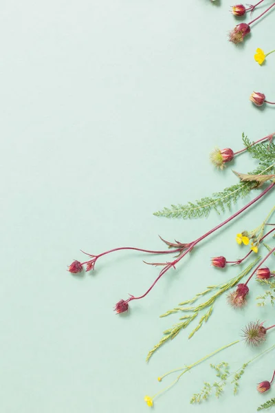 Diversi Fiori Selvatici Sfondo Carta — Foto Stock