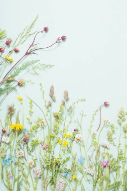 kağıt arkaplanda farklı yabani çiçekler