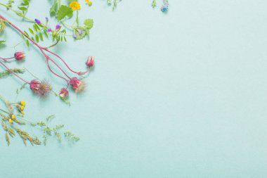 kağıt arkaplanda farklı yabani çiçekler