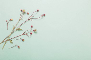 Vahşi doğada çiçekler arka planda