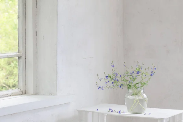 Beyaz Mahsullü Kavanozda Veronica Nın Yabani Çiçekleri — Stok fotoğraf