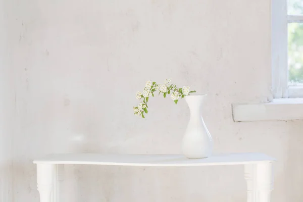 Spirea Blanche Dans Vase Sur Fond Blanc — Photo
