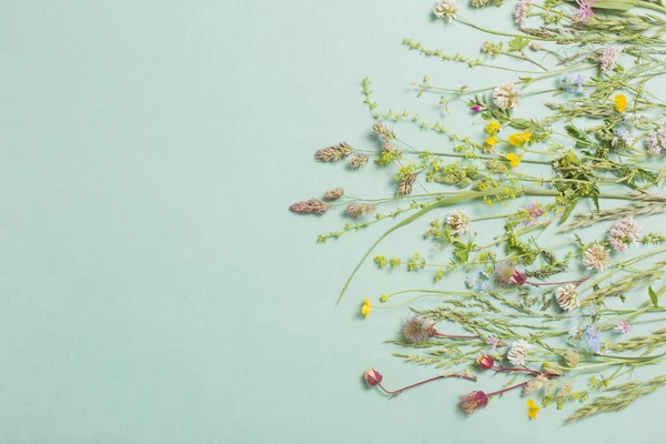 Verschiedene Wilde Blumen Auf Papier Hintergrund — Stockfoto