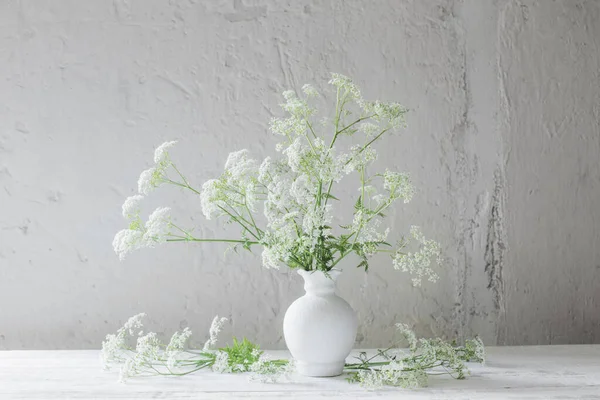 Białe Dzikie Kwiaty Wazonie Białym Tle — Zdjęcie stockowe