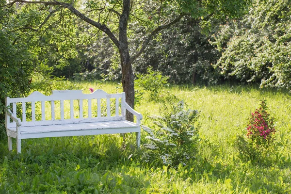 夏の庭の白い木のベンチ — ストック写真