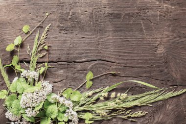 Eski karanlık ahşap arka planda yabani bitkiler