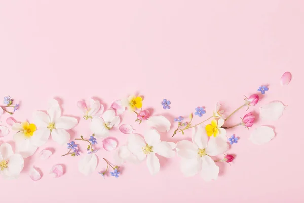 Fiori Primaverili Sfondo Rosa — Foto Stock