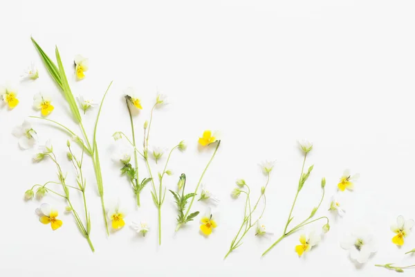 wild flowers on white  background