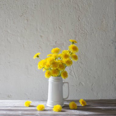 Arka planda beyaz sürahi içinde karahindibalar beyaz duvar