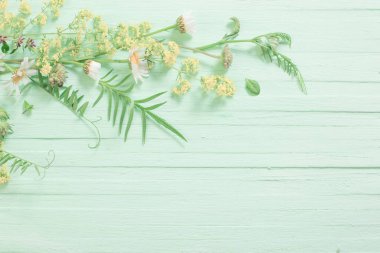 Yeşil ahşap arka planda yabani çiçekler