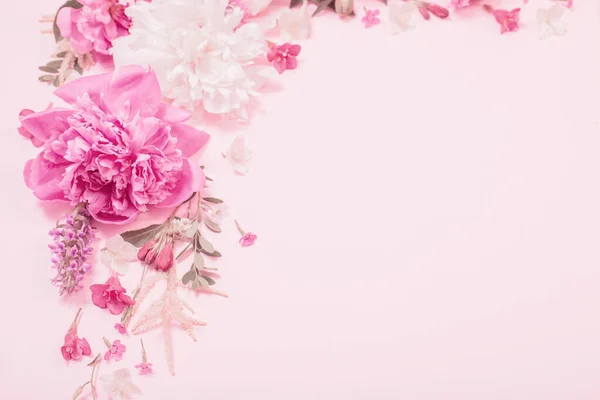 Piękne Kwiaty Różowym Tle Papieru — Zdjęcie stockowe