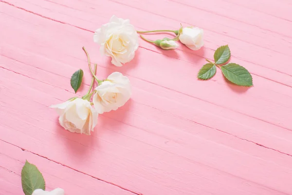 Rosas Blancas Sobre Fondo Madera Rosa — Foto de Stock