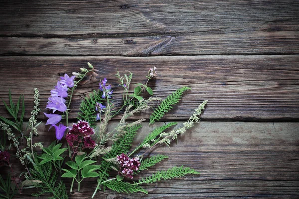 Fleurs Sauvages Sur Fond Sombre Vieux Bois — Photo