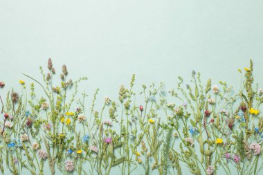 kağıt arkaplanda farklı yabani çiçekler