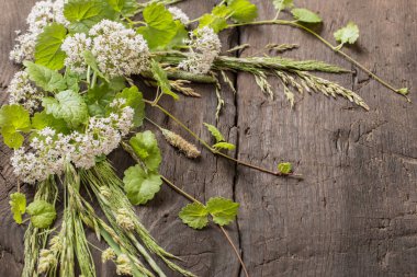 Eski karanlık ahşap arka planda yabani bitkiler