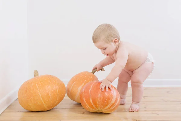 Kleine Jongen Met Pompoenen Houten Vloer — Stockfoto