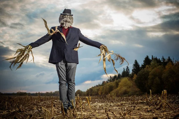 Scarecrow Stands Autumn Field Evening Sky — Stock Photo, Image