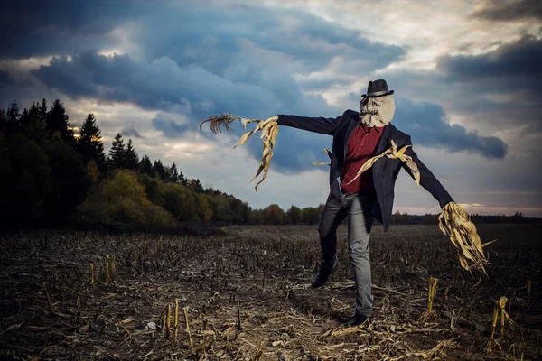 Épouvantail Dresse Dans Champ Automne Contre Ciel Soir — Photo