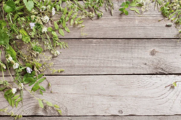 Plantas Silvestres Sobre Fondo Viejo Madera Oscura — Foto de Stock