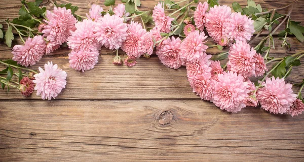 Pink Chrysanthemums Dark Wooden Background — Stock Photo, Image