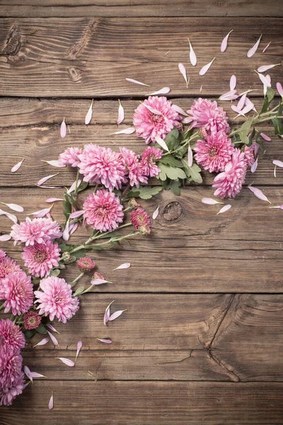 Розовые Хризантемы Темном Деревянном Фоне — стоковое фото