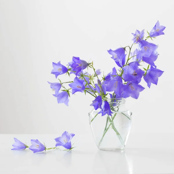 Bluebell Květiny Skleněné Sklenici Bílém Pozadí — Stock fotografie