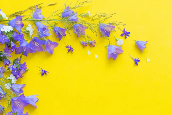 Blå Vilda Blommor Gul Bakgrund — Stockfoto