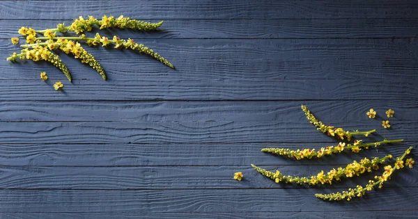 Sárga Nyár Virágok Kék Háttér — Stock Fotó