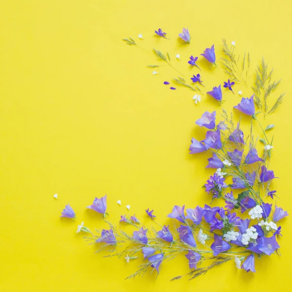 Fleurs Sauvages Bleues Sur Fond Jaune — Photo