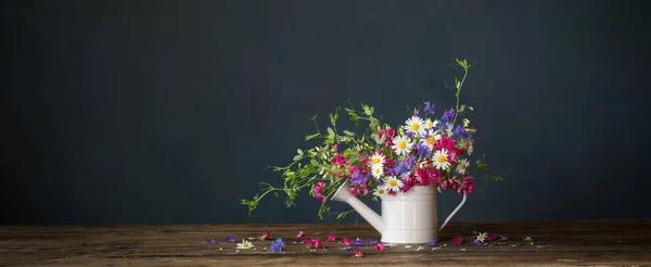 Fiori Estivi Selvatici Annaffiatoio Sfondo Scuro — Foto Stock