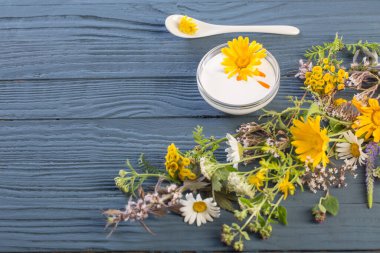 Mavi arka plandaki bitkisel malzemelerden elde edilen doğal kozmetik ürünler.