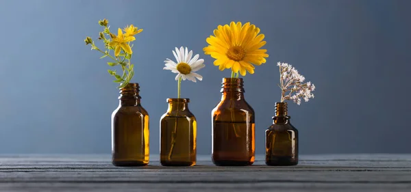 Plantes Médicinales Bouteilles Brunes Sur Fond Bleu — Photo