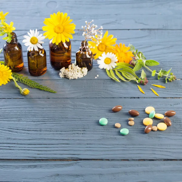 蓝色背景的药丸和野生植物 自然医学概念 — 图库照片