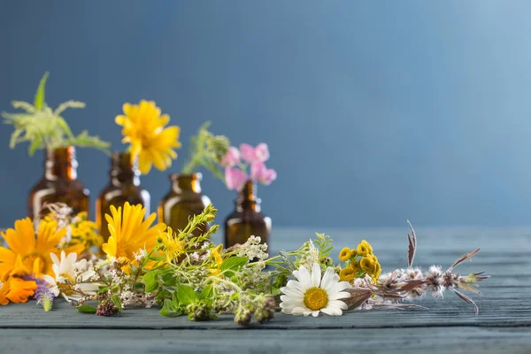 蓝色背景的药用植物和棕色瓶子 — 图库照片