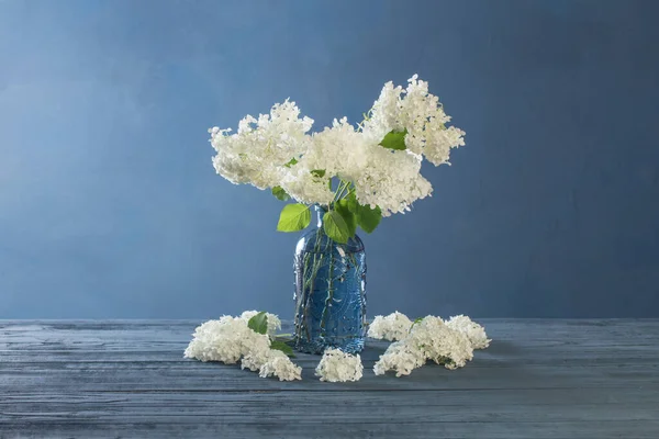 Weiße Hortensie Der Vase Auf Blauem Hintergrund — Stockfoto