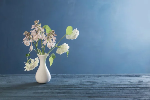 Hortênsia Branca Vaso Sobre Fundo Azul — Fotografia de Stock