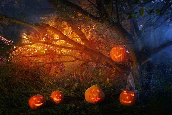 Halloween Kürbisse Nächtlichen Wald — Stockfoto