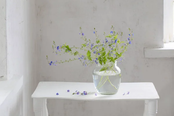 Wilde Bloemen Veronica Pot Witte Vintage Interieur — Stockfoto