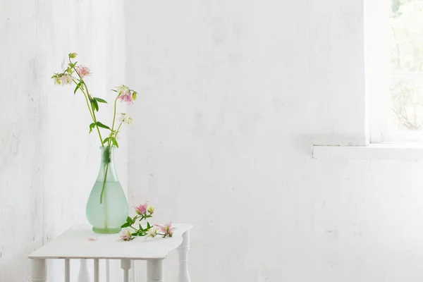 背景の白い壁に花瓶に花を咲かせ — ストック写真
